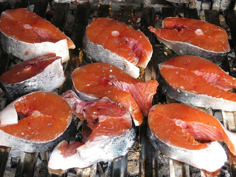 salmon sat on smoker grates