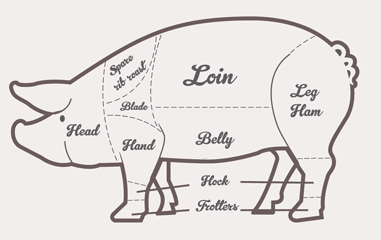 diagram of different cuts of pork
