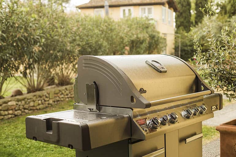 Napoleon LEX 605 Built-In Propane Grill