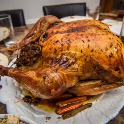 https://theonlinegrill.com/wp-content/uploads/2019/05/best-chicken-turkey-injector-marinade-recipes-500x500.jpg