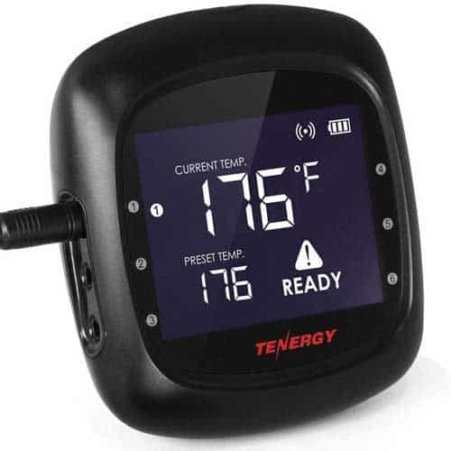 Solis Digital Thermometer (2 Probes) - Tenergy