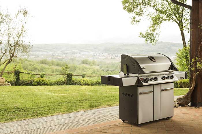 Napoleon LEX605RSBINSS Natural Gas Grill