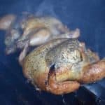 cornish hens smoking in grill