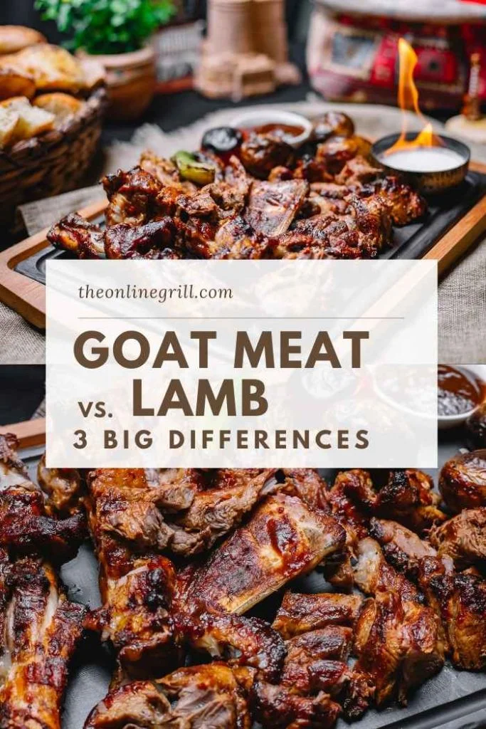 goat vs lamb meat differences