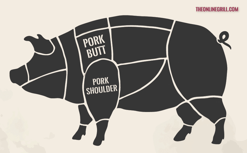 pork butt pork shoulder diagram