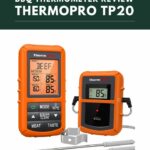 ThermoPro TP20 Review
