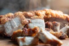 barbecue grilled pork crackling