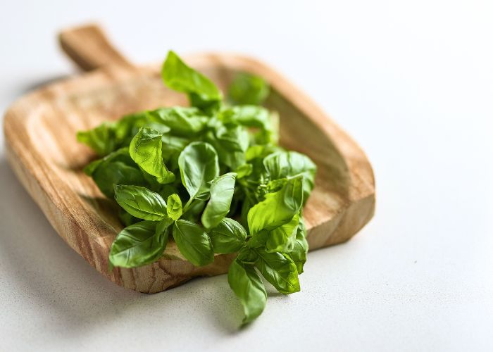 fresh basil herb leaves on chopping board