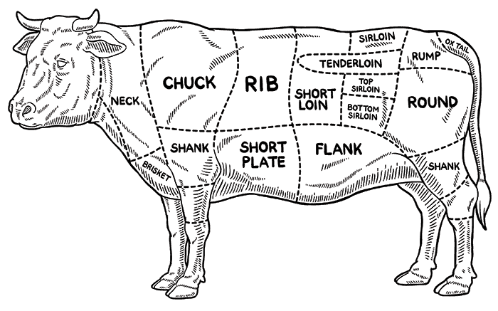 beef cuts cow diagram