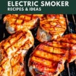 best electric smoker recipes pinterest
