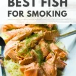 best fish to smoke