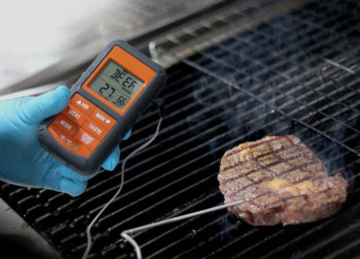 Riida TM08 Wireless Meat Thermometer, Remote Cooking Food Barbecue