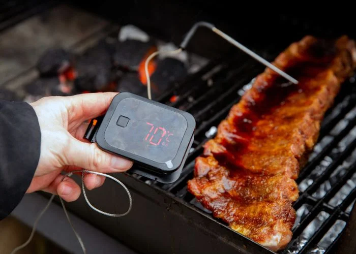 https://theonlinegrill.com/wp-content/uploads/digital-smoker-thermometer-probe.jpg.webp