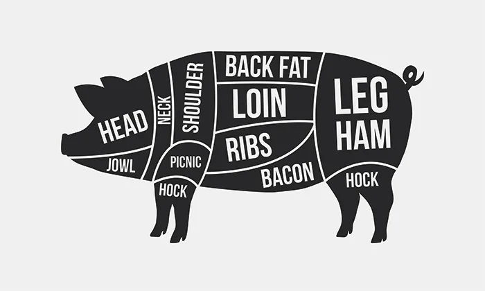 pork cuts diagram