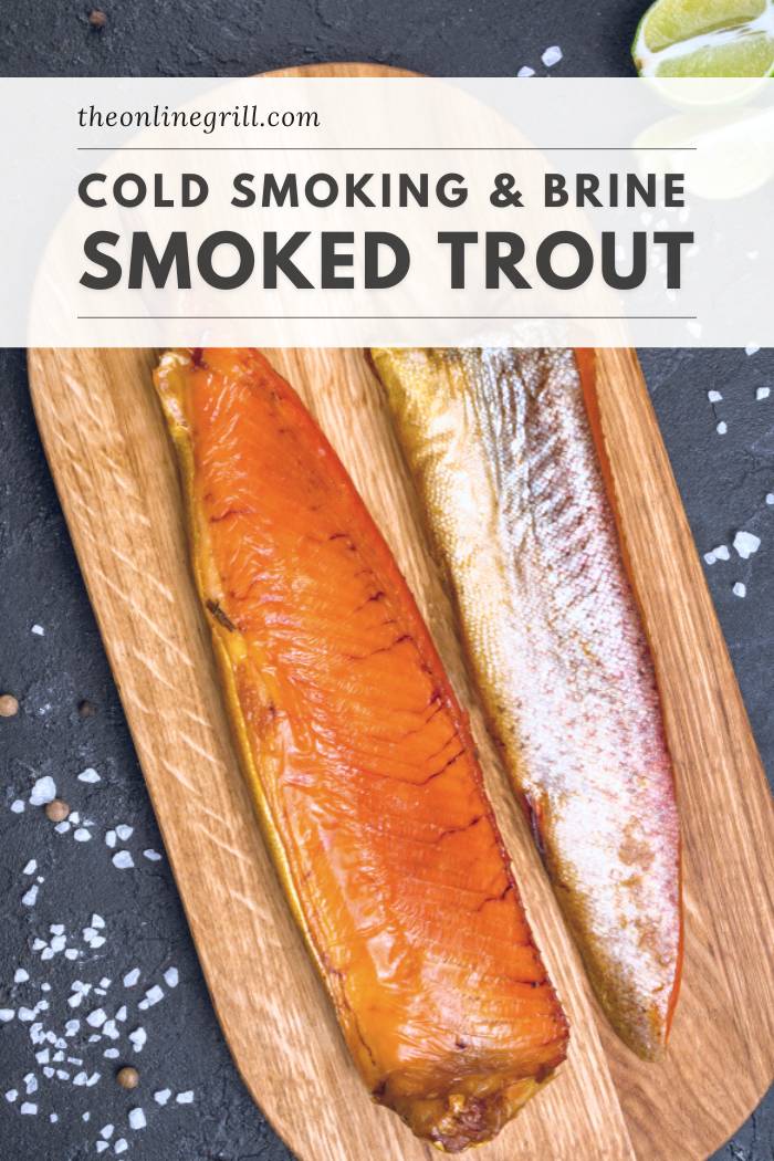 Cold smoke outlet fish