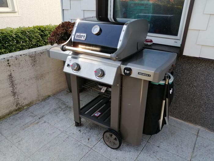 weber genesis e210