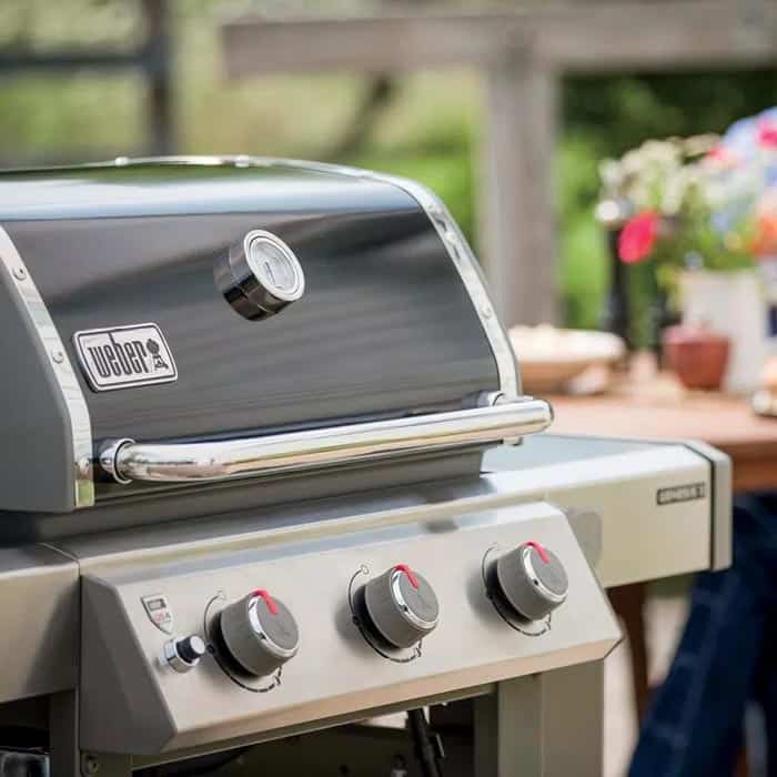 weber genesis ii e-310 review