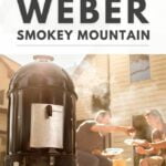 weber smokey mountain review