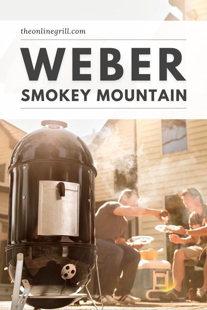 weber smokey mountain review