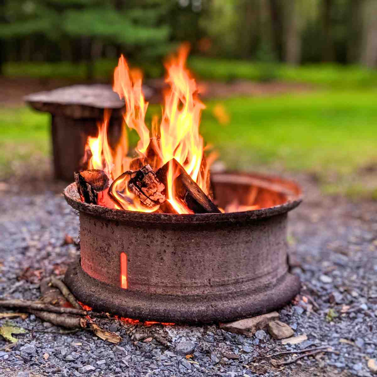 wood log fire pit